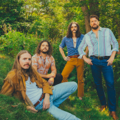 The Sheepdogs